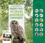 HVG Könyvek kiadó Caz Buckingham, Andrea Pinnington: Ismerd meg az erdei madarak hangját! - könyv