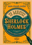HVG Könyvek kiadó Galland, Richardwolfrik: Te lehetsz Sherlock Holmes - könyv