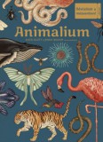 HVG Könyvek kiadó Scott, Katie, Broom, Jenny: Animalium - Üdvözlünk a múzeumban! - könyv