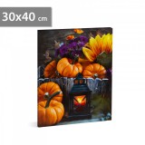 Halloween-i LED-es hangulatkép - fali akasztóval, 2 x AA, 30 x 40 cm 58399