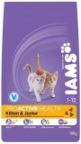 Iams Cat Kitten & Junior Chicken macskatáp 10kg