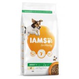 Iams Dog Adult Small Medium, Chicken 12 kg
