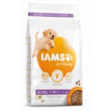 Iams Dog Puppy Large Breed, Chicken 12 kg