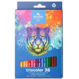 ICO: Koh-I-Noor 3135 Hatszögletű színes ceruza tigrises dobozban 36 darabos