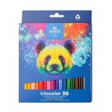 ICO: Koh-I-Noor 3145 Hatszögletű színes ceruza medvés dobozban 36 darabos