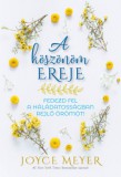 Immanuel Kiadó Joyce Meyer: A köszönöm ereje - könyv