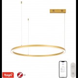 IMMAX NEO FINO NEW Smart függőlámpa, 1 kör, 80 cm, 60 W, arany, Zigbee 3.0 (07217L)