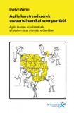 In Dynamics Consulting Evelyn Werro: Agilis keretrendszerek csoportdinamikai szempontból - könyv