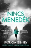 Insomnia Patricia Gibney: Nincs menedék - Lottie Parker 4. - könyv