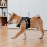 Insta360 GO 2 Pet Strap Mount (CING2CB/J)