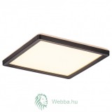 Intelligens LED mennyezeti lámpa Inverness, 15W, 1190lm