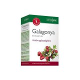 INTERHERB NAPI 1 GALAGONYA EXTRAKTUM KAPSZULA 30DB