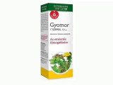 INTERHERB NAPI CSEPP GYOMOR CSEPPEK 50ML