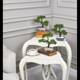 Iris E5660 Bonsai dekoráció művirággal cserépben 10x22cm (E5660)