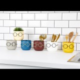 Iris E5669 Szemüveges fej alakú 10cm Cserép - Többféle (E5669)