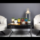 Iris E5670 Szemüveges fej Cserepes művirág Asztali Dekoráció 10x14cm - Többféle (E5670)