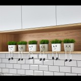 Iris E5705 Láblógató Cserepes művirág Asztali Dekoráció 10x20cm - Többféle (E5705)