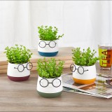 Iris E5720 Szemüveges fej Cserepes művirág Asztali Dekoráció 9x14cm - Többféle (E5720)