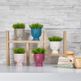 Iris E5738 Fej alakú Cserepes művirág Asztali Dekoráció 9x14cm - Töbféle (E5738)