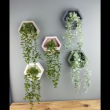 Iris E5798 Hatszögletű fali Cserepes művirág Asztali Dekoráció 13x26cm - Többféle (E5798)