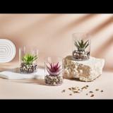 Iris E5812 dekoráció művirággal pohárban Best Wishes felirattal 8x10cm - Többféle (E5812)