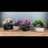 Iris E5830 Best Wishes Cserepes művirág Asztali Dekoráció 20x18cm - Többféle (E5830)