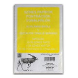 Iskola Színes papírok, pontrácsok és vonalhálók 1.osztály