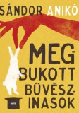 Jaffa Kiadó Sándor Anikó: Megbukott bűvészinasok - könyv