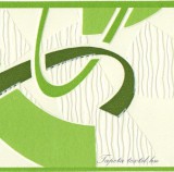 Jász-Iron Zöld modern mintás bordűr