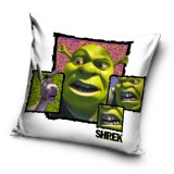 JAVOLI Shrek Párnahuzat 40x40 cm Velúr