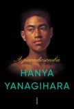 Jelenkor Hanya Yanagihara: A paradicsomba - könyv