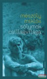 Jelenkor Kiadó Mészöly Miklós - Sólymok csillagvilága