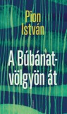 Jelenkor Pion István: A Búbánat-völgyön át - könyv