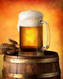 Jerry Fabrics S.r.o. Topolová 485, 252 42 Jesenice u Prahy, Csehország info@jfabrics.cz Sör mikroflanel takaró