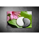 Jin Jang Vászonkép 060 vi-060