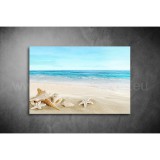 Kagylós Vászonkép 048 sea-048