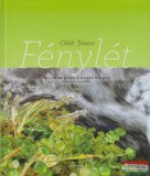 Kairosz Kiadó Oláh János - Fénylét