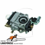 Karburator 6219-53301