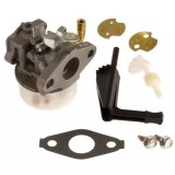 Karburátor Briggs&Stratton 798653,697354,790290,698860,