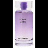KARL LAGERFELD Fleur D'Iris EdP 100 ml (3386460161565)