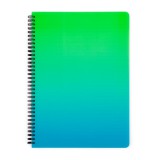 KARTON P+P OMBRE Twin wire, A4 PP zöld (8-16125)