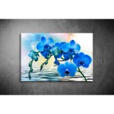Kék Orchidea Vászonkép 041 vi-041
