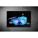 Kék Orchidea Vászonkép 066 vi-066