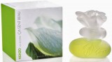 Kenzo Ca Sent Beau EDT 50ml Női Parfüm