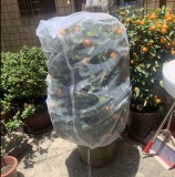 Kerti növénytakaró védőháló rovarok ellen - 100 x 150 cm