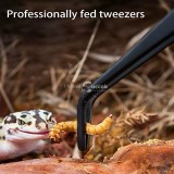 Kétéltűeknek biztonságos, rozsdamentes acélból készült etető és tisztító csipesz