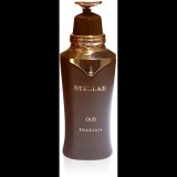 KHADLAJ Stellar Oud EdP 100 ml (6291107975627)