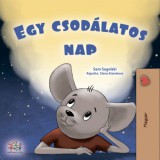 KidKiddos Books Sam Sagolski: Egy csodálatos nap - könyv