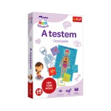 Kis felfedező: A testem oktatójáték - Trefl