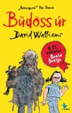 Kolibri Kiadó David Walliams: Büdöss úr - könyv